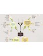 WINE TYPES - Rolled WINE TYPES - Rolled