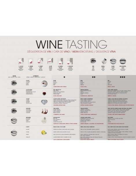 WINE TASTING - Folded WINE TASTING - Folded